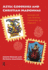 Aztec Goddesses and Christian Madonnas