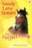 Perfect Pony (Sandy Lane Stables)