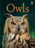 Owls (Usborne Beginners)