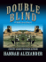Double Blind (Hideaway, Book 9)