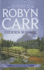 Hidden Summit, a Virgin River Novel, Large Print Edition
