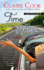 Time Flies (Thorndike Press Large Print Core)