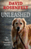 Unleashed (an Andy Carpenter Mystery)