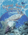 Coral Reef Explorer