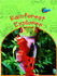 Rain Forest Explorer (Perspectives)