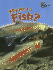 Why Am I a Fish? (Perspectives)