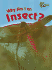 Why Am I an Insect? (Perspectives)