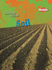Soil (Geology Rocks! )