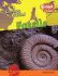 Fossils (Geology Rocks! )