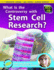 What is the Controversy Over Stem Cell Research? (Sci-Hi: Science Issues)