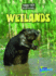Wetlands (Habitat Survival: Raintree Perspectives, Level P)