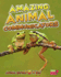 Amazing Animal Communicators (Animal Superpowers) (Read Me! Animal Superpowers)