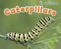 Caterpillars (Creepy Critters)