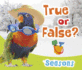 True Or False? Seasons