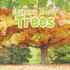 Learning About Trees (the Natural World)