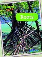 Roots (Plant Parts / Raintree Perspectives)
