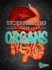 Understanding Our Organs (Raintree Perspectives: Brains, Body, Bones! )