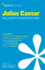 Julius Caesar Sparknotes Literature Guide (Sparknotes Literature Guide Series, 38)