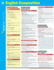 English Composition Sparkcharts