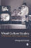 Visual Culture Studies