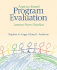 Agency-Based Program Evaluation: Lessons From Practice
