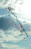 Celestial Spirits, Celestial Scripts