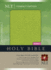 Compact Edition Bible Nlt, Tutone