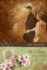 Willow Springs (Troublesome Creek Series #2)