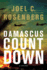 Damascus Countdown (David Shirazi, Book 3)