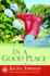In a Good Place: a Novel