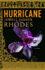Hurricane