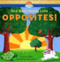 God Must Really Love...Opposites!