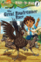 The Great Roadrunner Race (Go, Diego, Go! Ready-to-Read, Level 1)