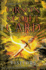 Visitors (Pathfinder Trilogy)