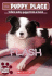 Flash (the Puppy Place #6) (6)