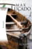 Book of Romans: God's Big Picture (Life Lessons)