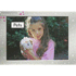 Pets: Individual Student Edition Magenta (Levels 1-2)