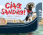 Ciao, Sandro! : a Picture Book