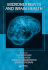 Micronutrients and Brain Health
