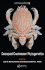 Decapod Crustacean Phylogenetics (Advances in Crustacean Research)