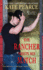 The Rancher Meets His Match (the Millers of Morgan Valley)