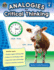 Analogies for Critical Thinking, Grade 4 From Teacher Created Resources