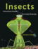 Insects: Evolutionary Success, Unrivaled Diversity, and World Domination