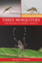 Three Mosquitoes: The Biology of Deadly Insects