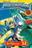 Megaman Nt Warrior, Vol. 12 (12)