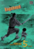 Vagabond, Vol. 5 (Vizbig Edition)