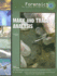 Mark and Trace Analysis (Forensics: the Science of Crime-Solving)