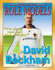 David Beckham (Modern Role Models)