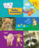 Baby Einstein Baby Animals (Disney Baby Einstein)