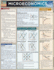 Microeconomics Quickstudy Laminated Reference Guide